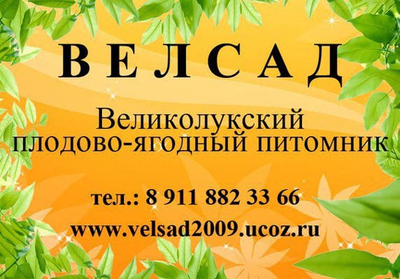 Лукьянцево питомник растений великие луки. Лукьянцево питомник растений великие луки. Лукьянцево питомник растений великие луки. Питомник растений с нуля. Садовый центр псков.