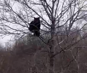 Порно видео Секс город великие луки. Смотреть Секс город великие луки онлайн