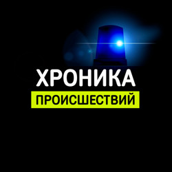 Житель Новосокольников ограбил два магазина в Великих Луках