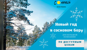 Встретить Новый Год На Базе Отдыха