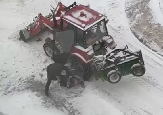 Луки.ру узнали, чем закончилось дело об избиении тракториста в ...