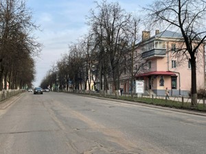 Новый путепровод и ремонт проспекта Ленина: Два великолукских проекта поддержали сенаторы