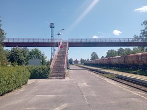Подросток упал с железнодорожного моста в Псковской области