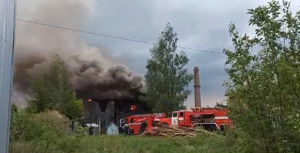 18 человек тушили пожар: В Великих Луках горел дом