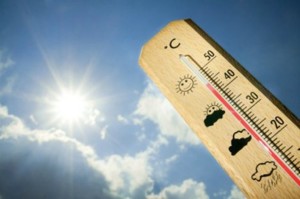 До +28 градусов поднимется температура в Псковской области завтра