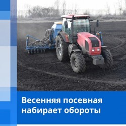 На полях Псковской области продолжаются полевые работы