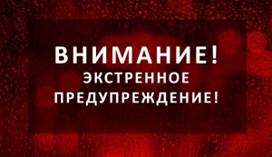 Возможен смерч: На Псковскую область вновь надвигаются грозы и шквалистый ветер