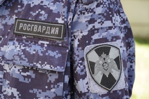 12 единиц оружия и 5 боеприпасов изъяли росгвардейцы у жителей Псковской области