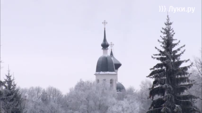 Зеница ока великие луки