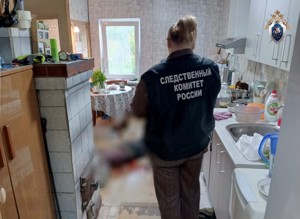 Не сошлись в цене: В Псковской области мужчина зарезал печника