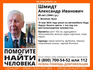 Пропавшего в Великих Луках 80-летнего мужчину нашли