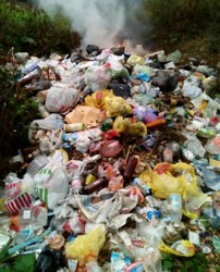 Председатель Совета Федерации прокомментировала ситуацию с вывозом мусора в Псковской области