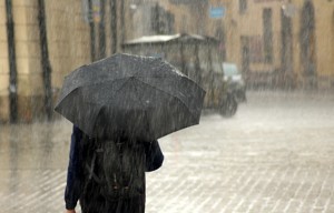 Сильный ветер и дожди ожидают жителей Псковской области в понедельник