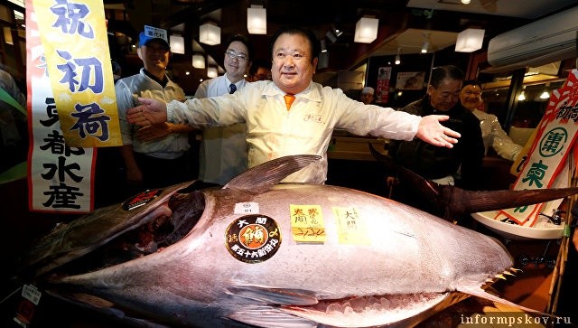 На аукционе в Японии гигантского тунца продали за 640 тысяч долларов –  Областные новости – Великие Луки.ру