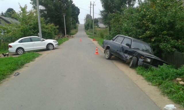 Погода кунья псковская на 10 дней