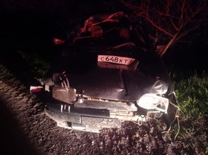 В Великолукском районе водитель сбил лося и попал в больницу