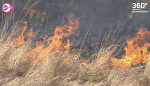 Россельхознадзор: Запрещено выжигание сухой растительности на землях сельскохозяйственного назначения